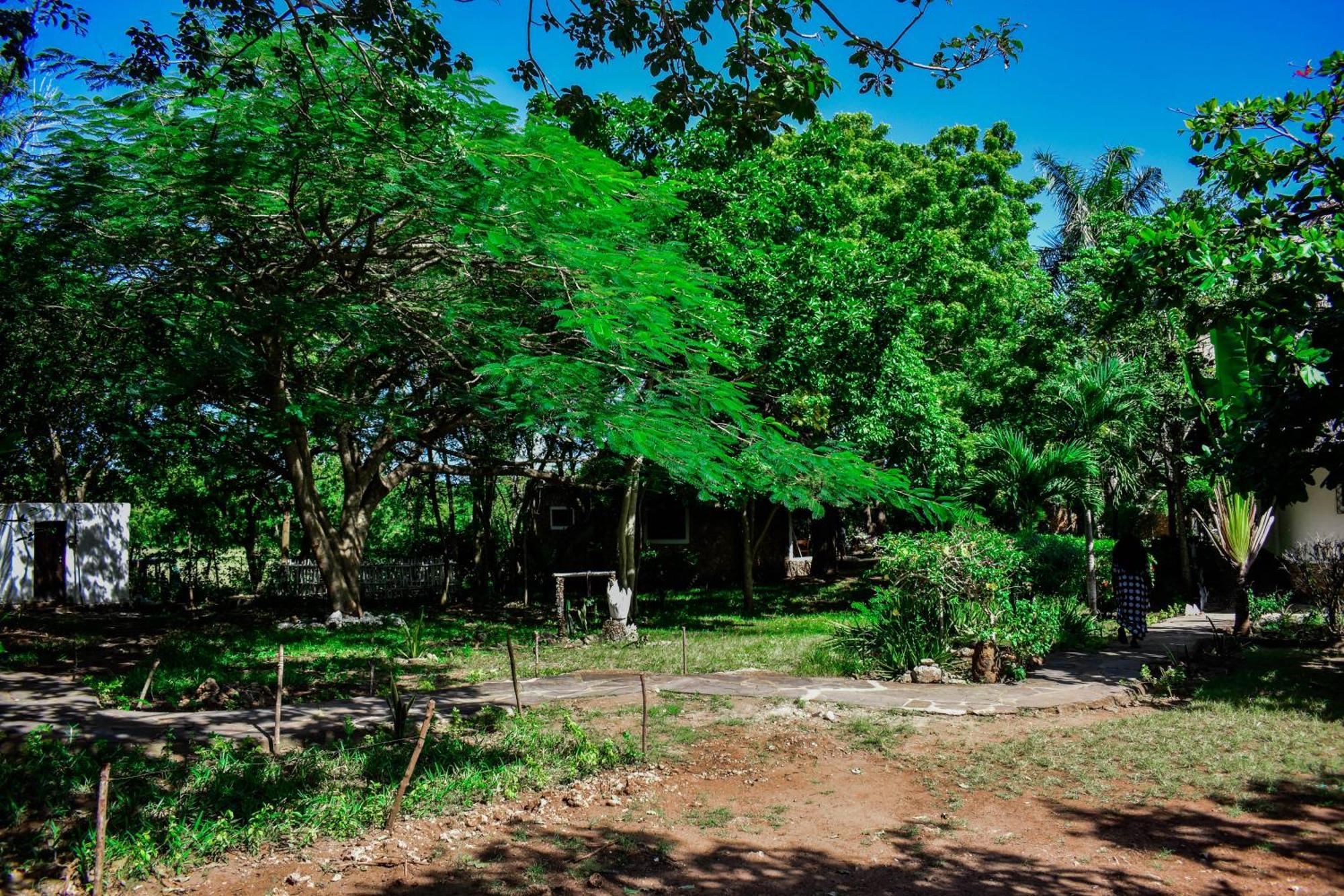 African Hut Tiny Cottage Діані-Біч Екстер'єр фото