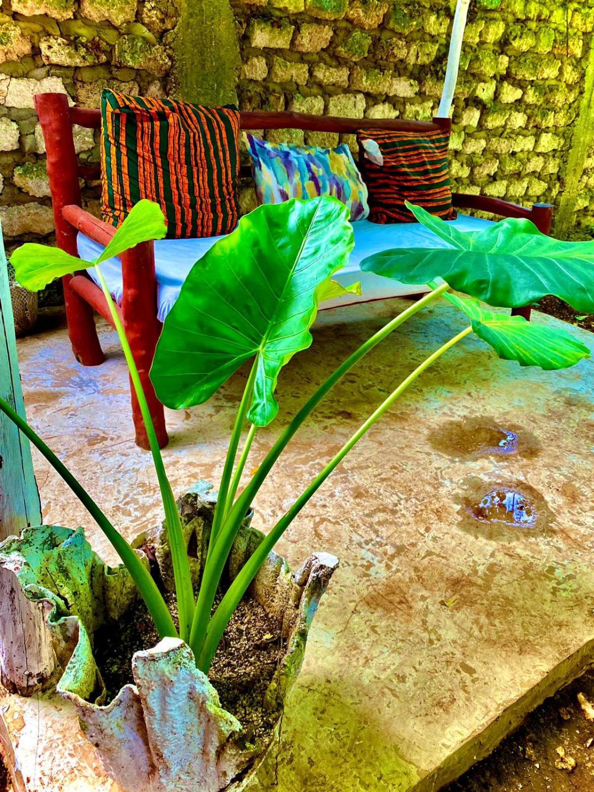 African Hut Tiny Cottage Діані-Біч Екстер'єр фото